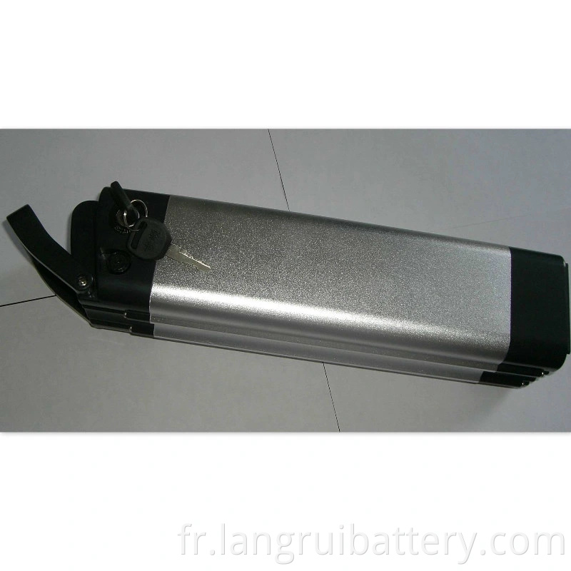 Power Lithium- ion Battery 48V 10AH pour la moto